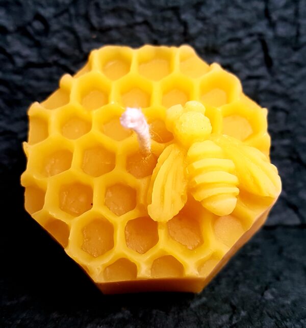 Bienenwachskerze "Biene auf Wabe"